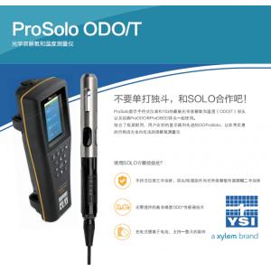 YSI維賽光學(xué)溶解氧和溫度測量儀ProSolo （4米）